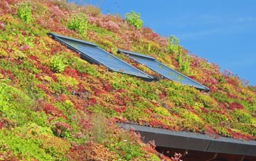 Meeting House Hill living roof systems